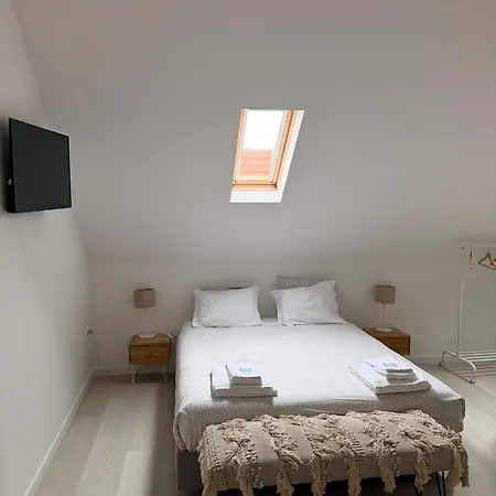 Go4surf Lofts بينيش