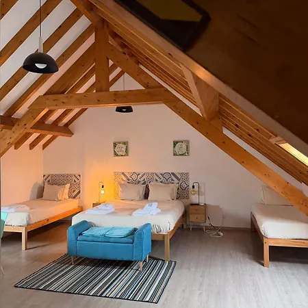 Apartman Go4surf Lofts