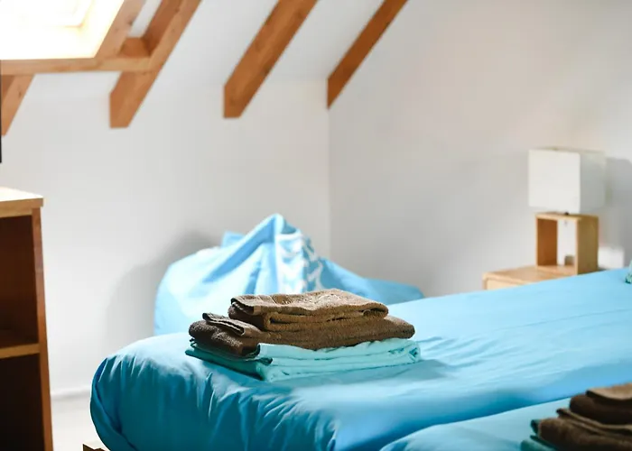 Go4surf Lofts * Пениши